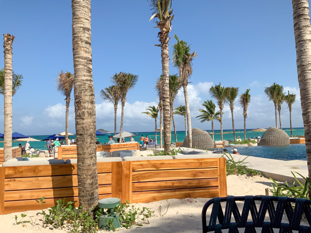 The beachfront pool under palms
