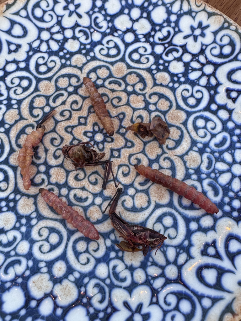 Dried chillies, chapulines and a grasshopper arranged on a blue-and-white patterned plate