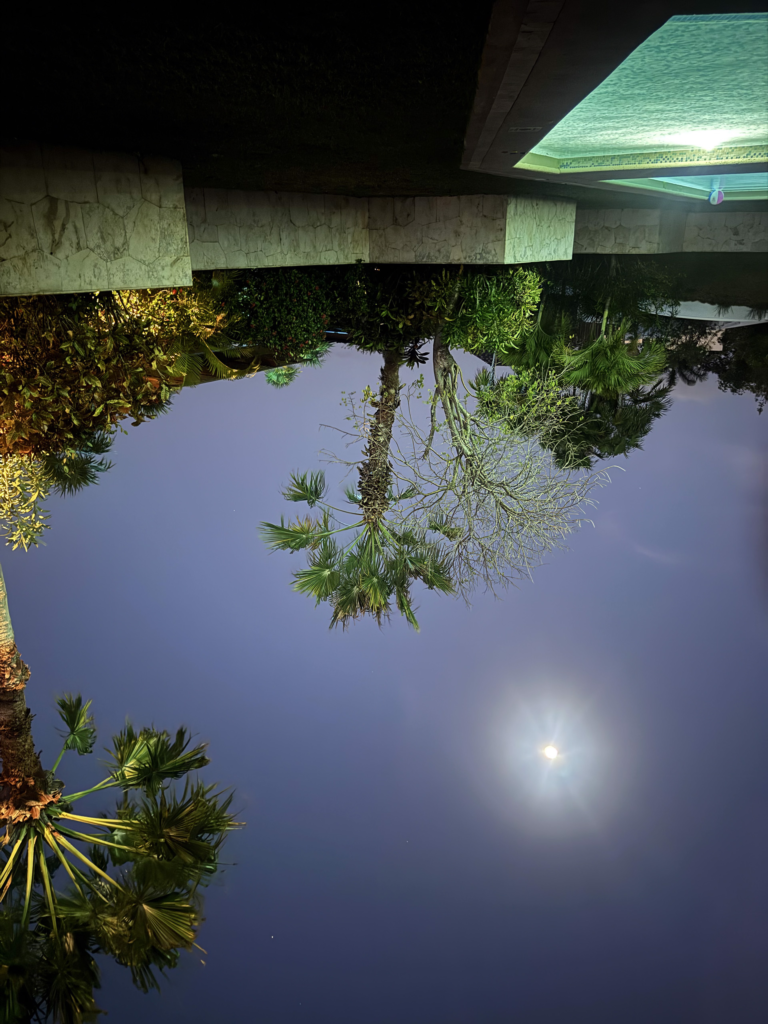 Palms, a lit stone colonnade and the moon reflected in a still black reflecting pool at night