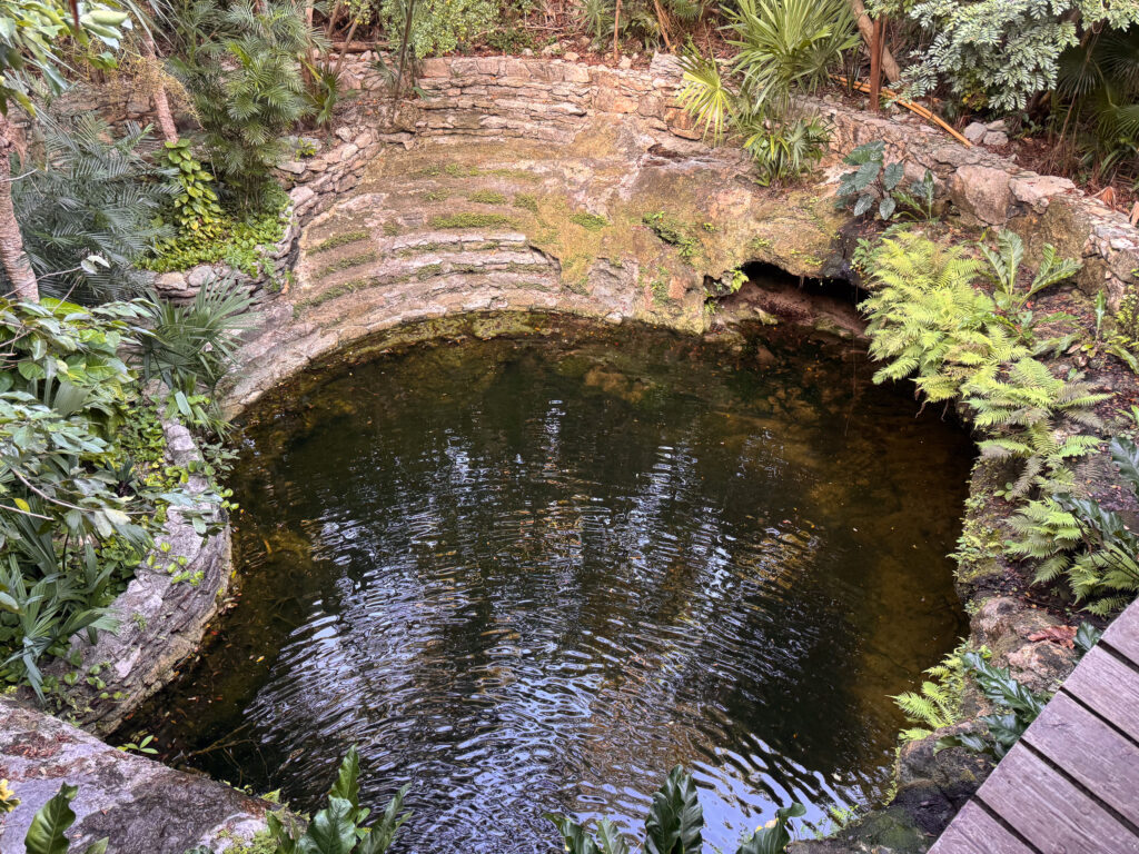 Cenote