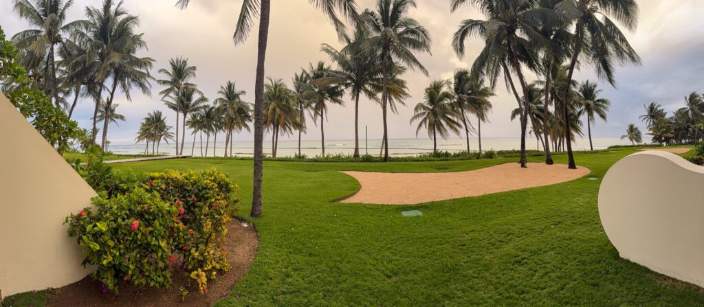 Wide panorama of lawn, coconut palms and a sand circle framed between two curved white walls