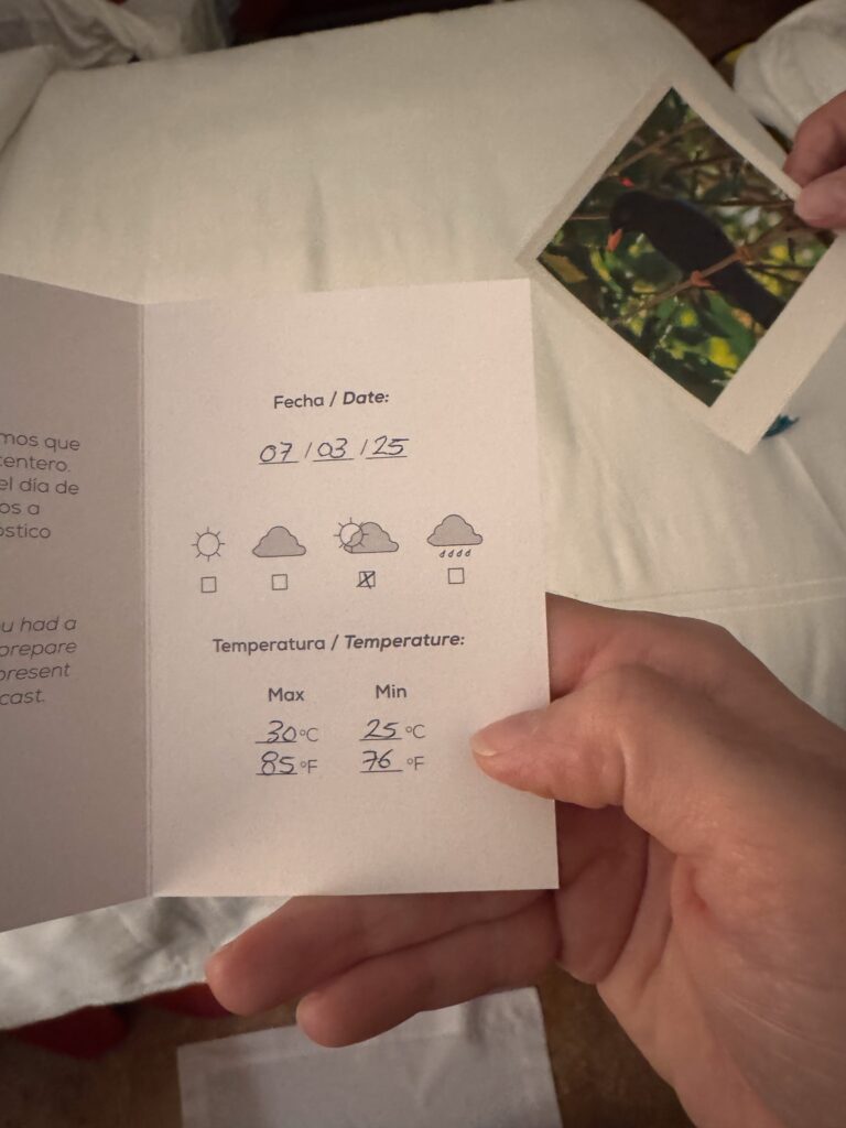 A hand holding the printed daily weather card, dated 07/03/25, on a white bed