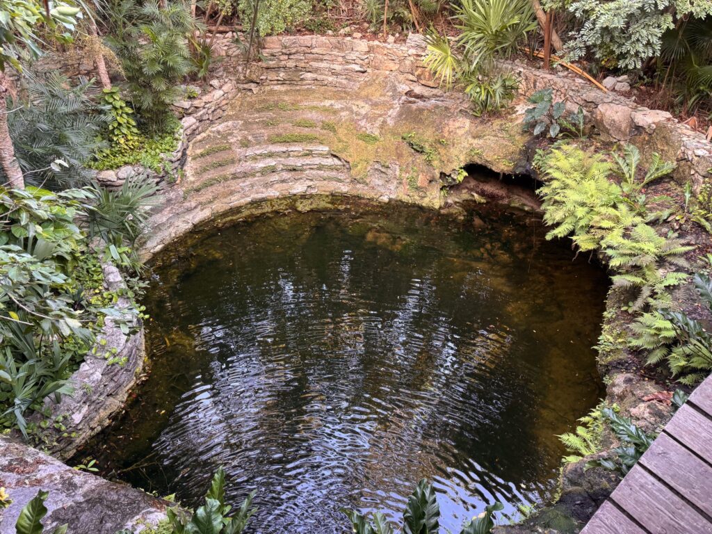 Circular stone-walled cenote of dark still water sunk among ferns and jungle planting