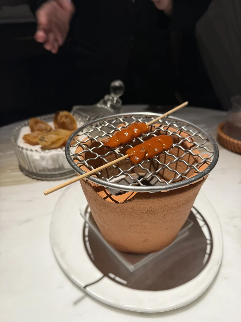 Two glazed skewers resting on a wire mesh over a small terracotta charcoal pot