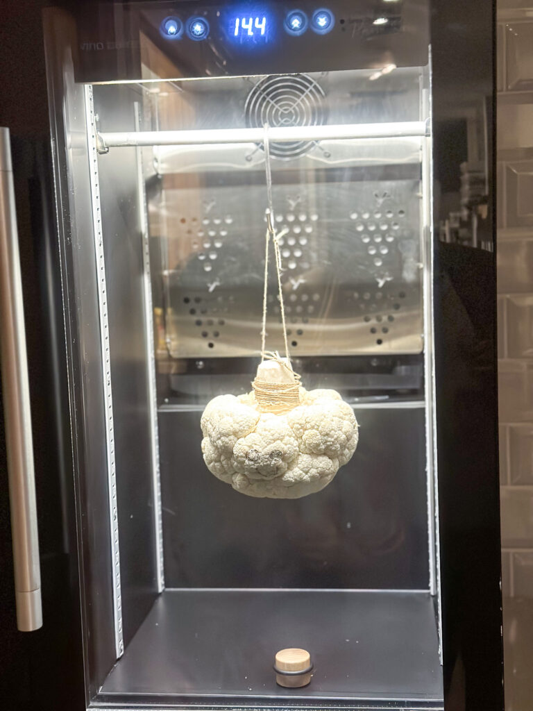 A whole cauliflower hung on twine inside a glass-fronted ageing cabinet reading 144