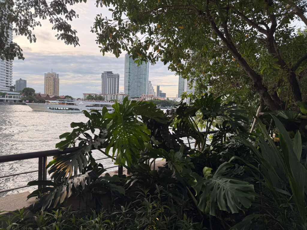 River view from a Capella balcony