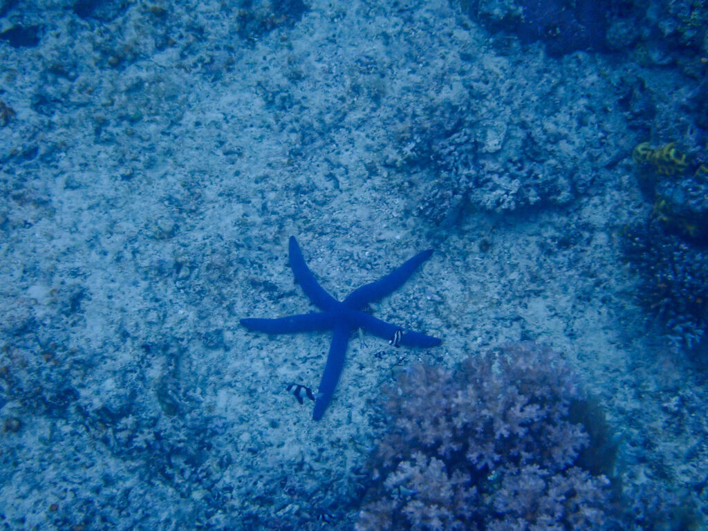 Kokomo Private Island