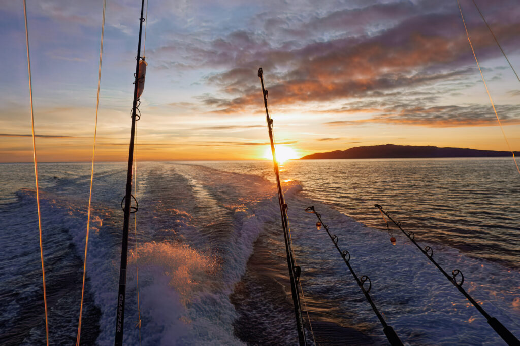 Trolling rods against the sunrise on the run south