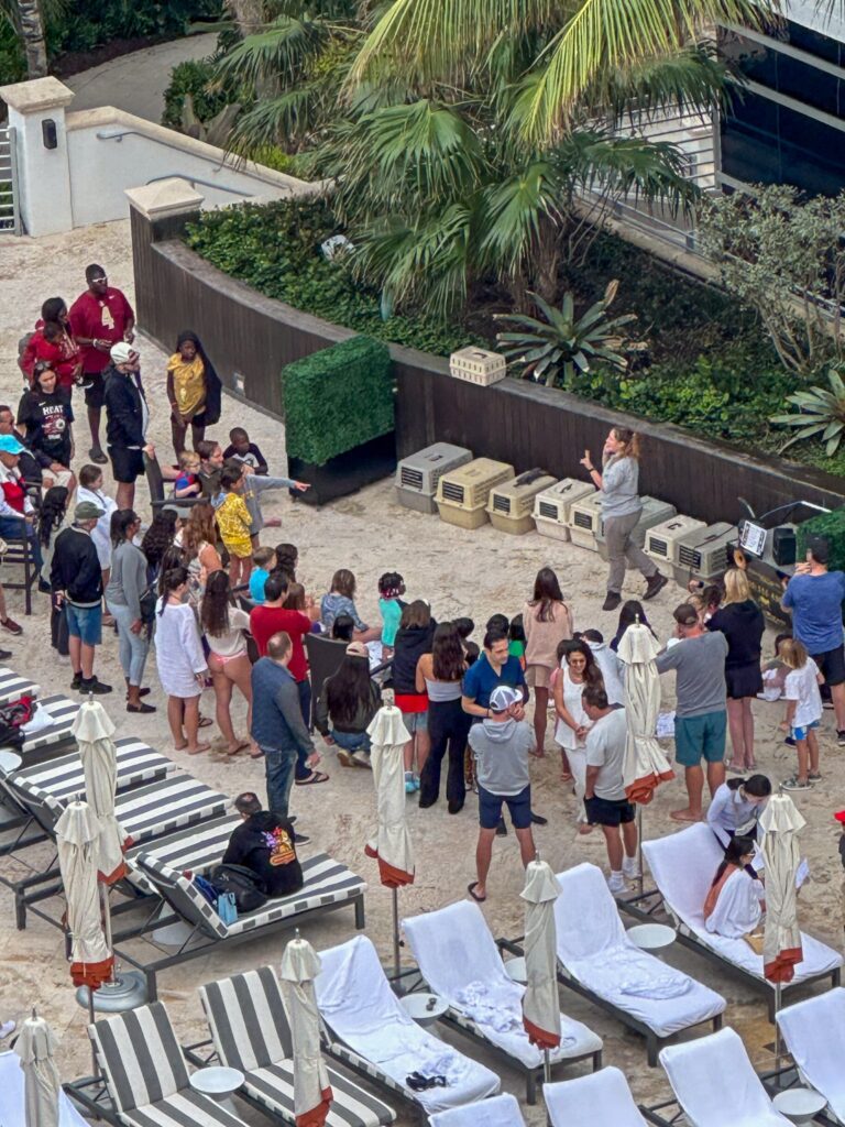 Guests gathered on the sand beside the pool deck for a morning activity, striped loungers in the foreground