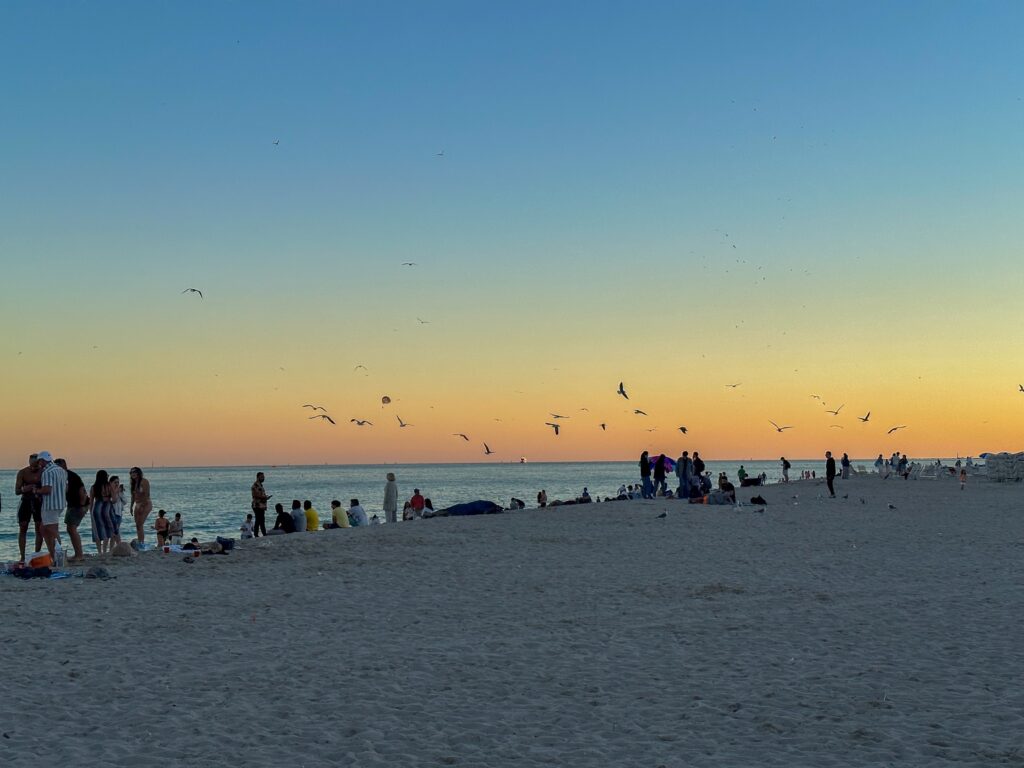 Beachgoers and gulls on the sand at sunset