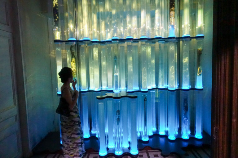 A wall of illuminated glass tubes lit blue and green, a figure standing in silhouette before it