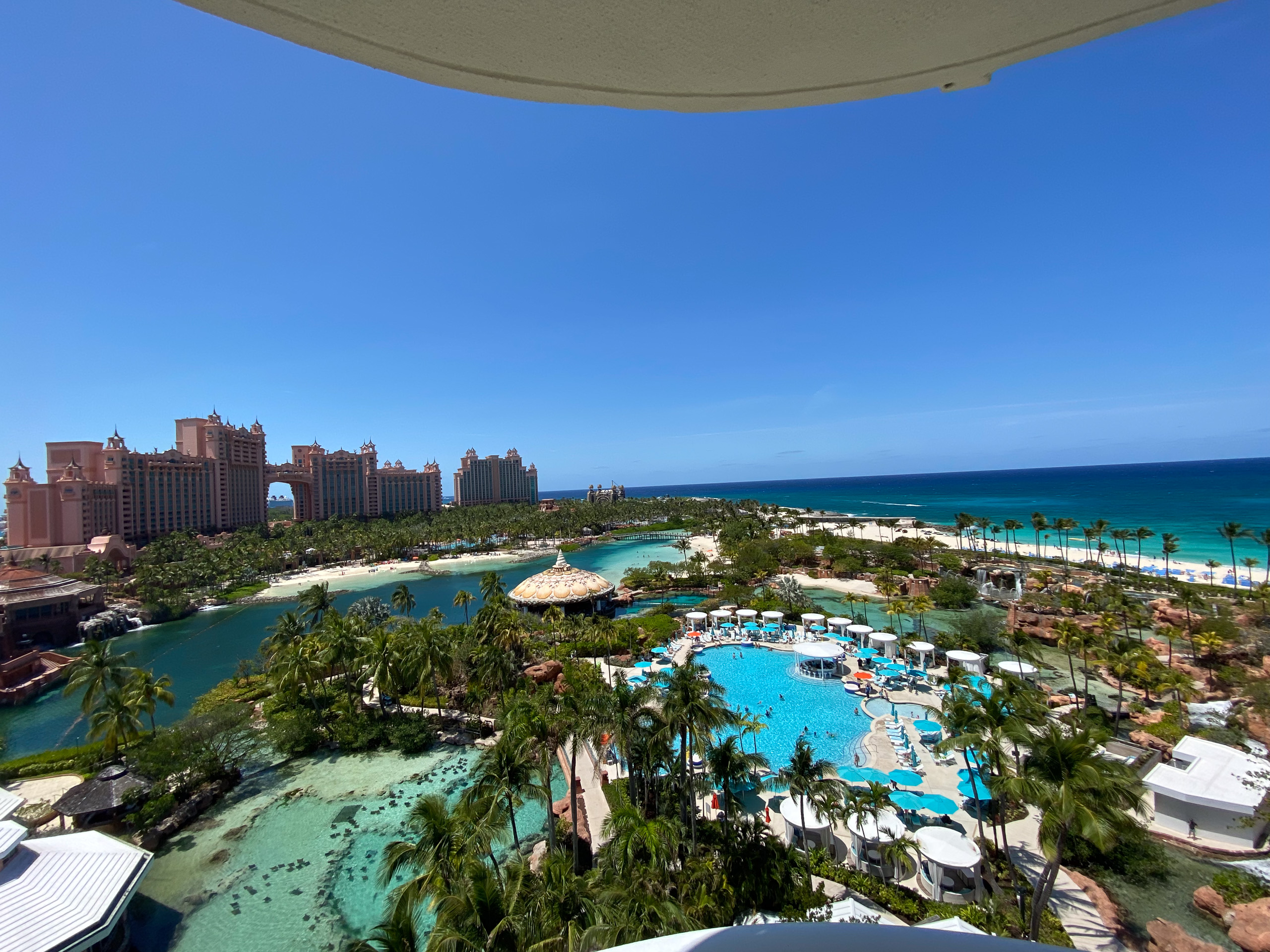 Looking down from the balcony: pools, palms and the harbour beyond