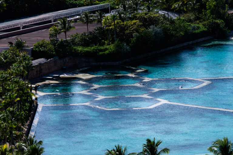 Dolphin Cay from above, the pens drawn in the clear water like a honeycomb