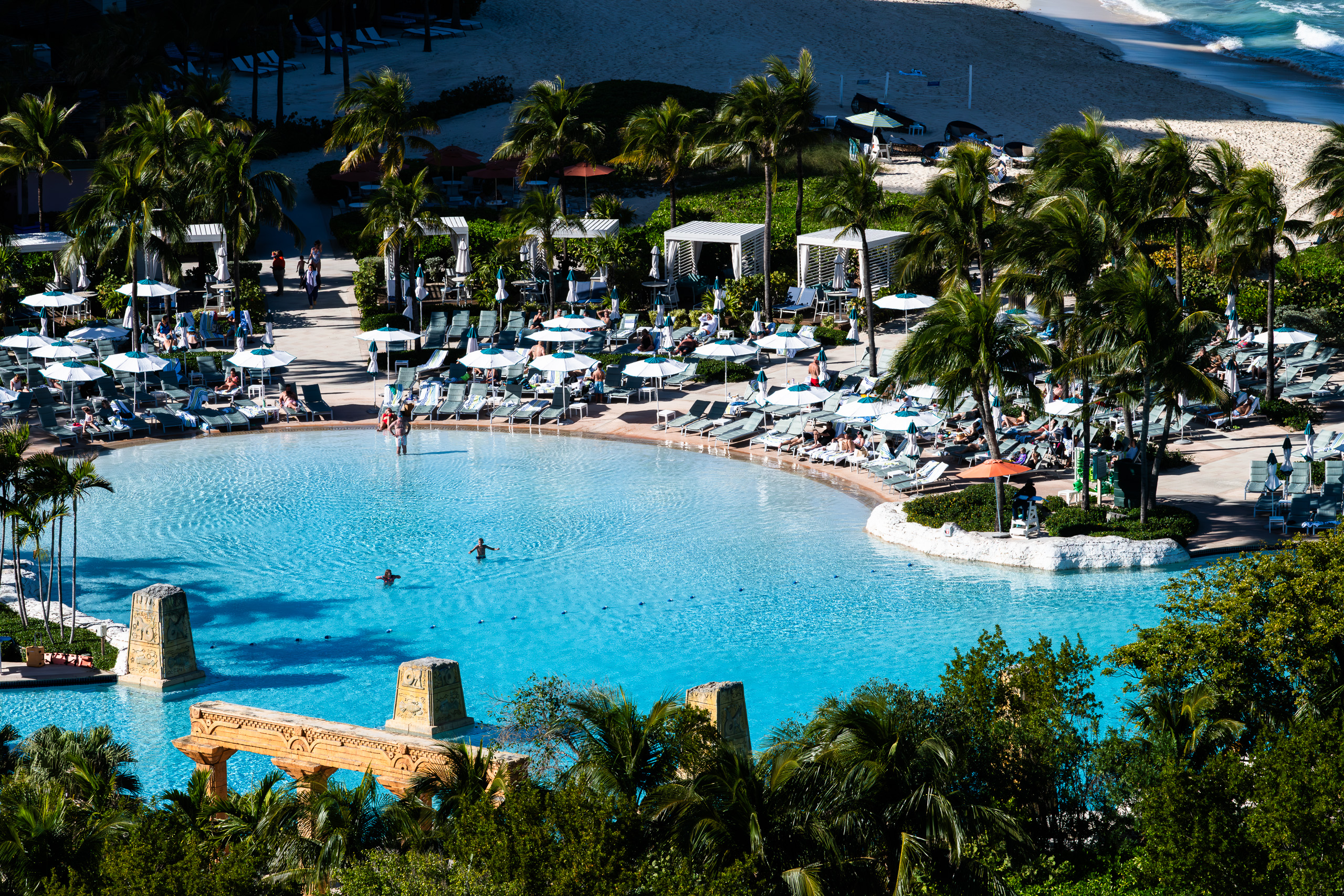 A lagoon pool under the slide tower, palms leaning over the deck
