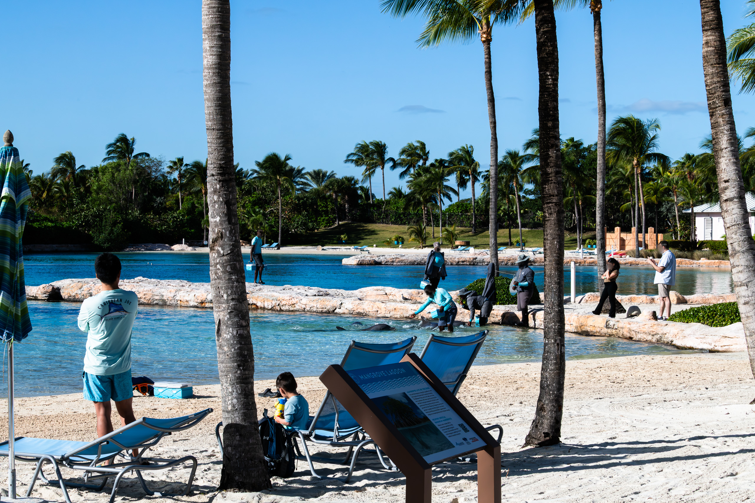 The lagoon beach with its interpretive sign, loungers filling under the palms