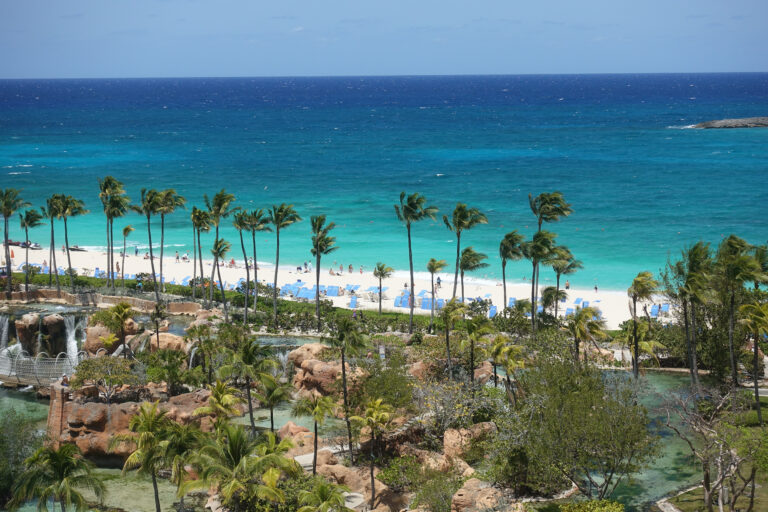 Palms over the beach, the water shelving from white to turquoise