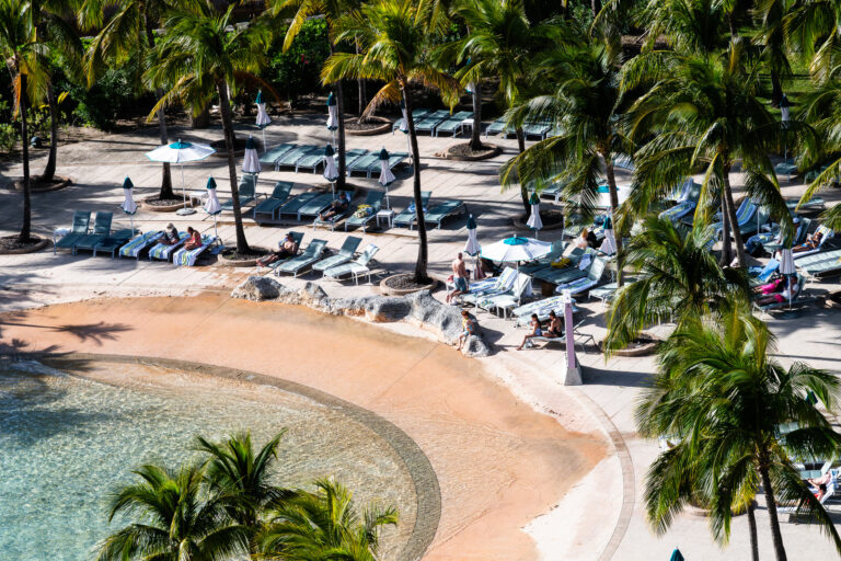 Loungers under the palms around a cove pool, mid-afternoon