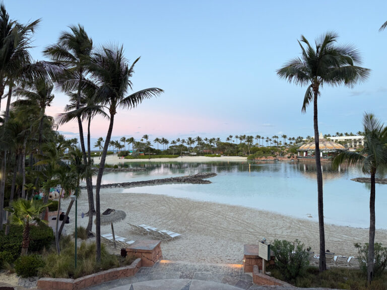Dusk going pastel over the lagoon beach, one palm leaning in