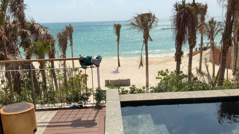 The plunge pool, the terrace rail and the sea beyond through the palms