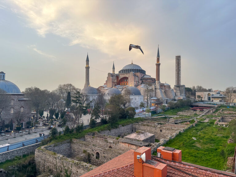 A gull crossing a pink dawn above the gardens, with Hagia Sophia at the left
