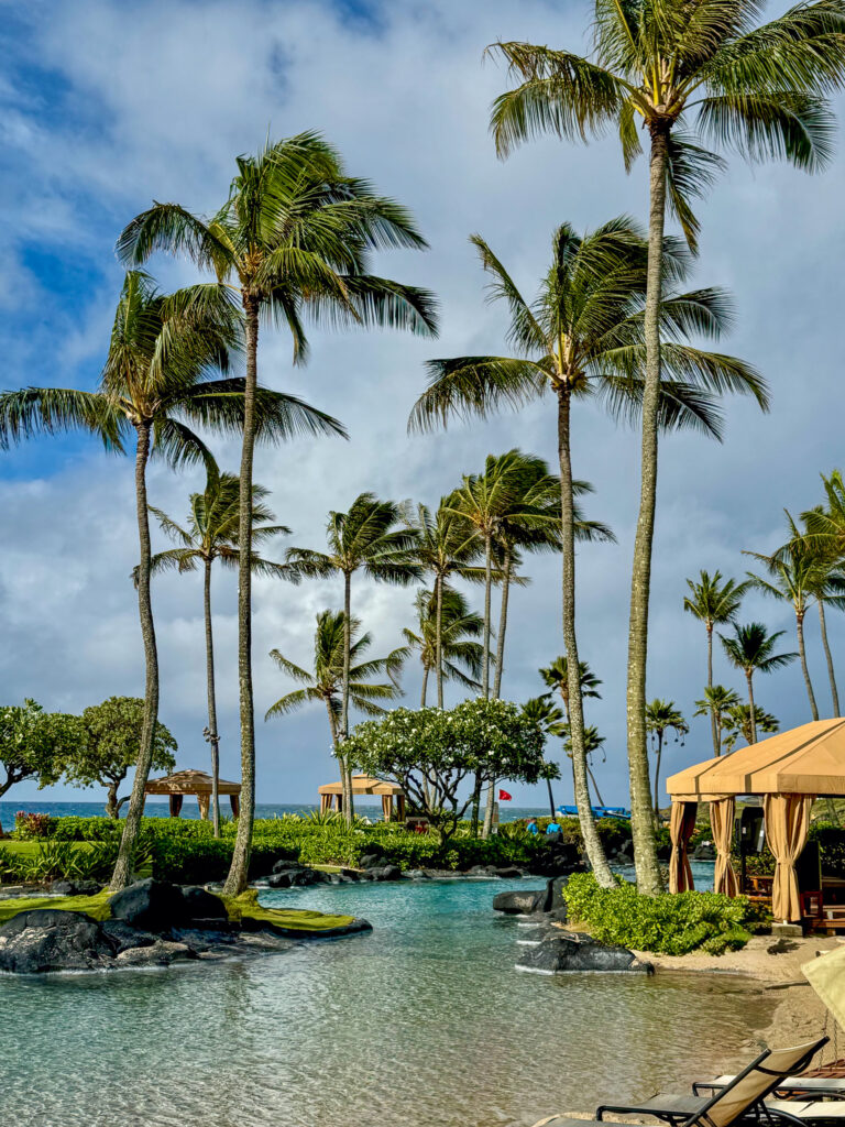 Coconut palms leaning over the pool, a thatched pavilion at the far end