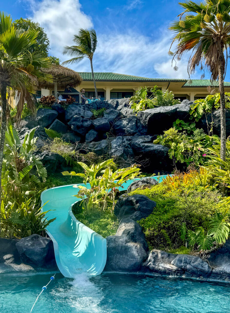 The blue waterslide threading down between planted lava rock