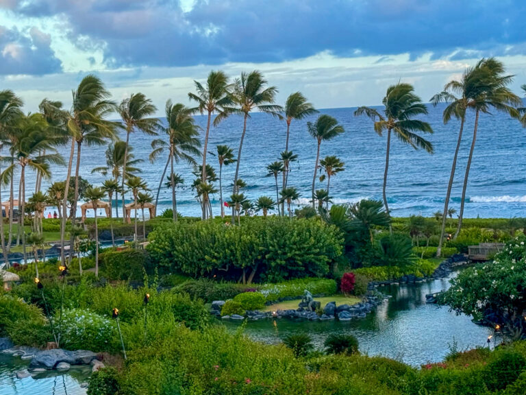 The lagoon and its planting, with the ocean flat behind