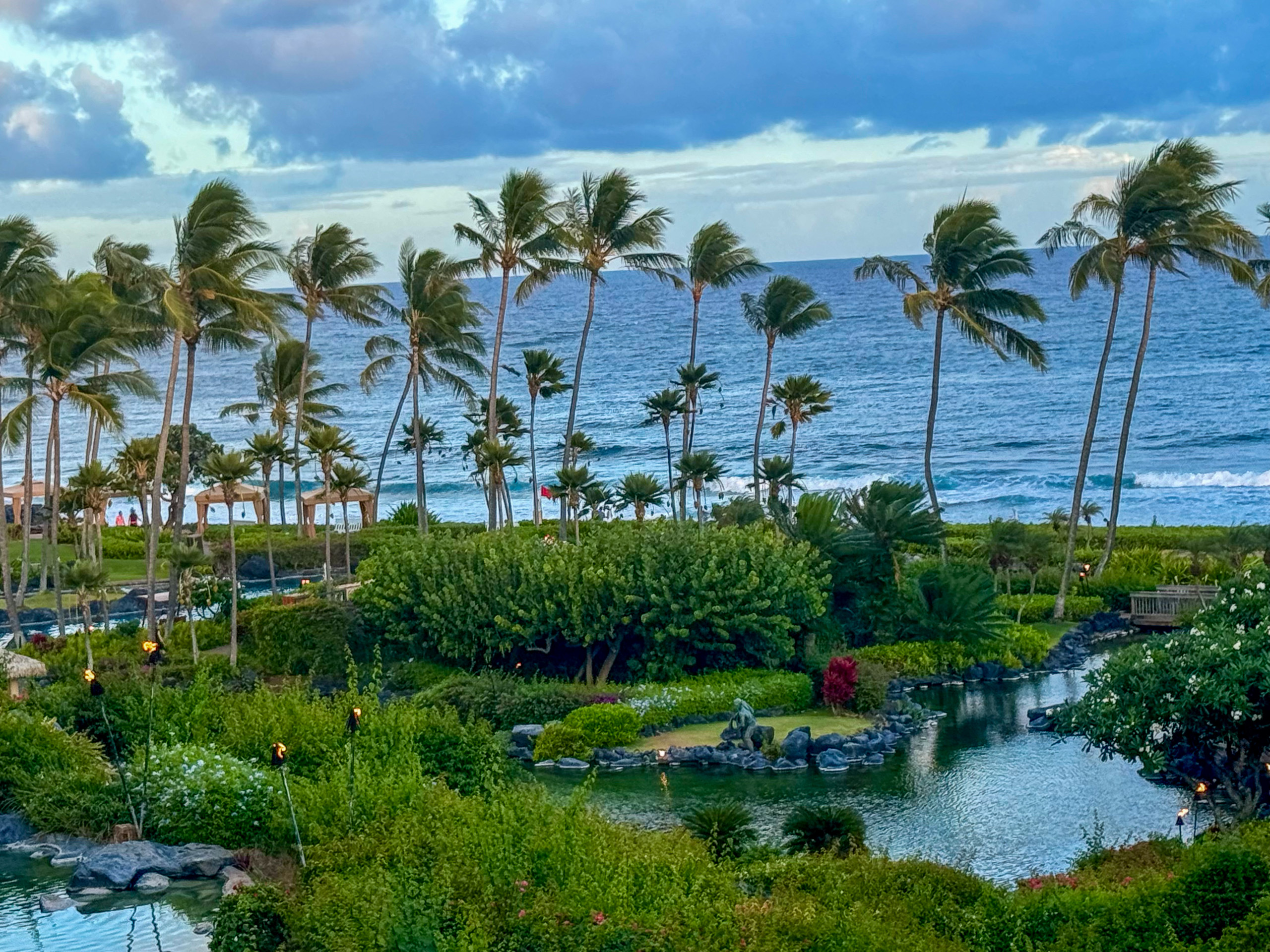 The lagoon and its planting, with the ocean flat behind