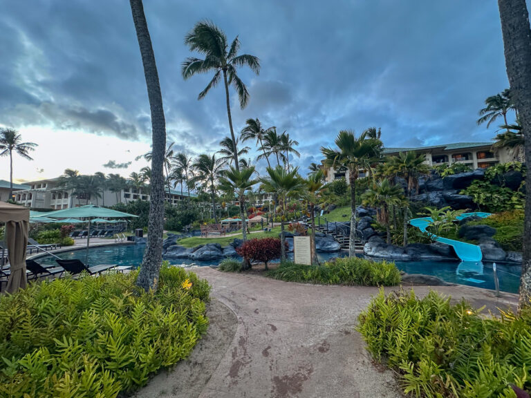 A sandy path between palms, a shaded structure at the end of it