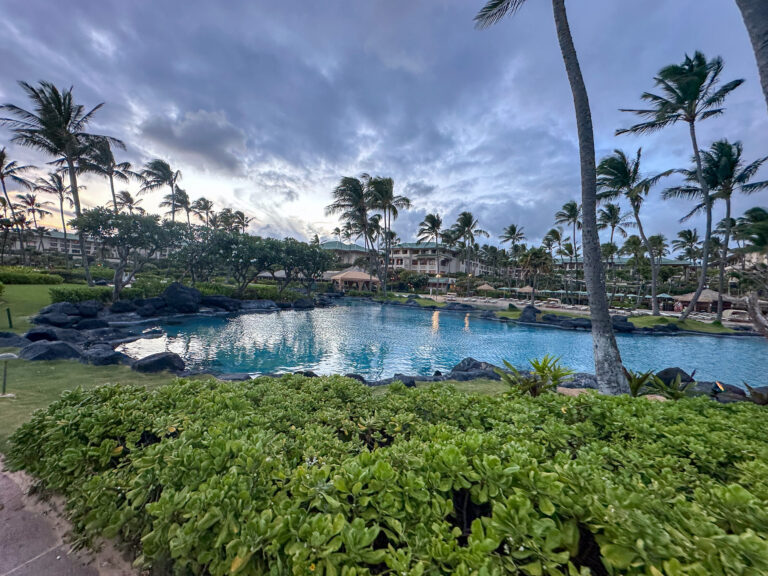 The lagoon holding the last light, palms black against the sky
