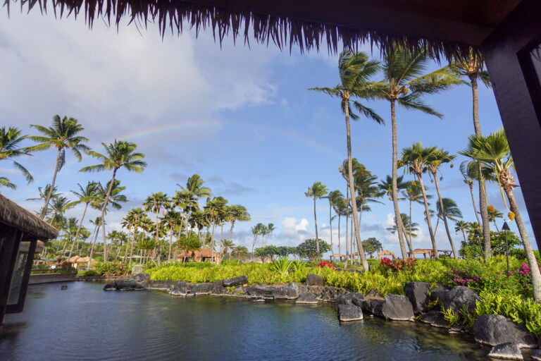 The pool and its palms framed by the edge of a thatched roof