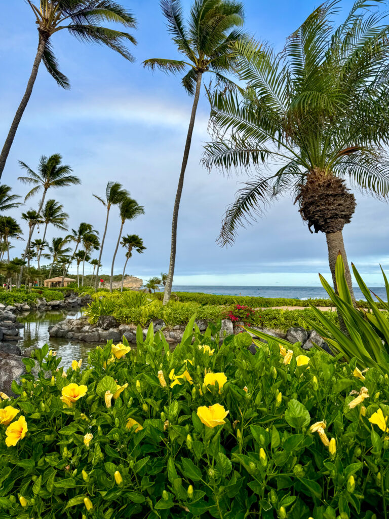 A bank of yellow flowers in the foreground, palms and the sea behind