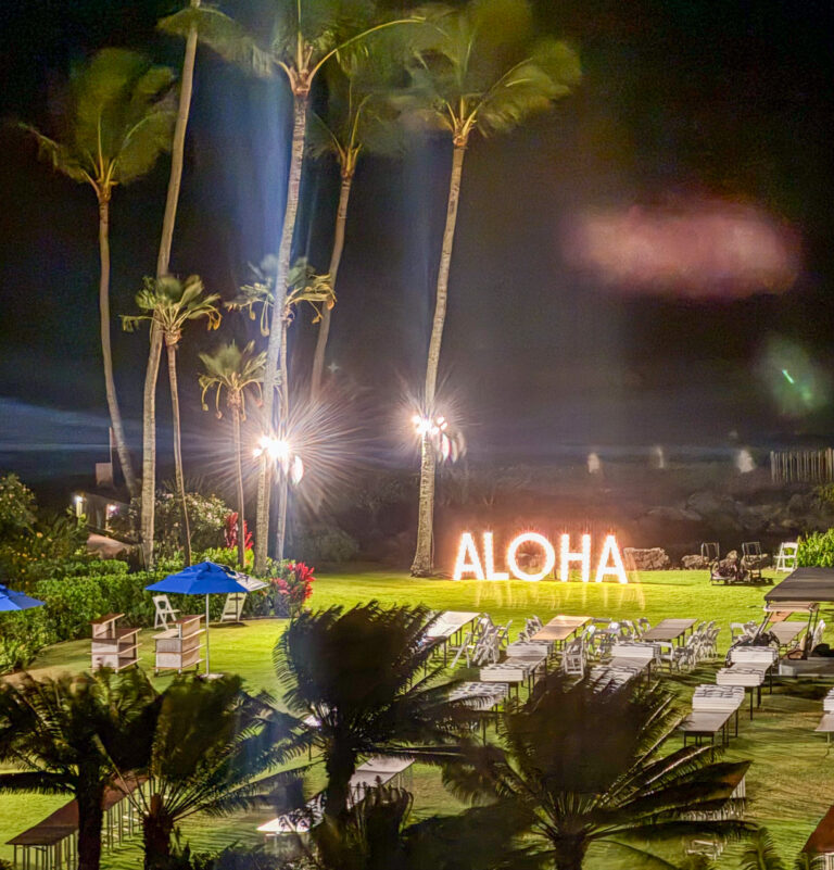The lit sign among the palms after dark