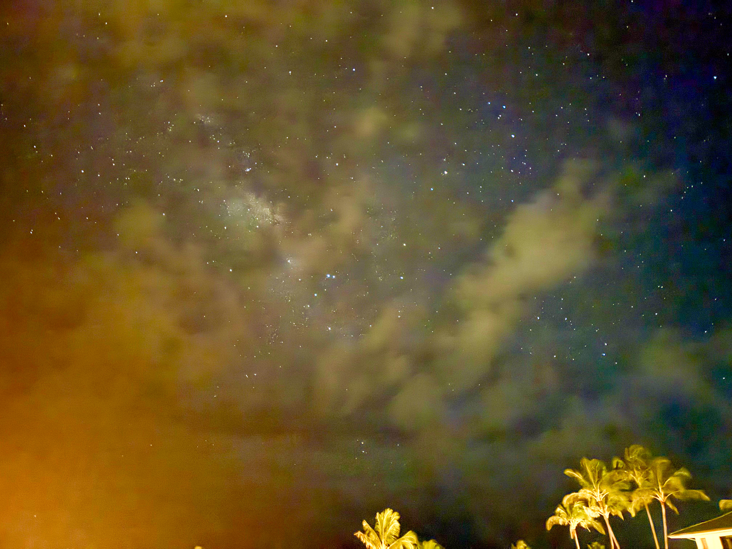 The night sky over the palms, dense with stars