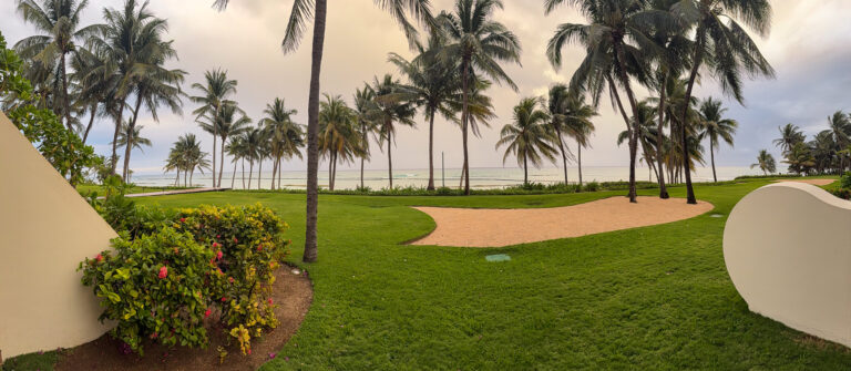 A sand path crossing a palm lawn towards the beach