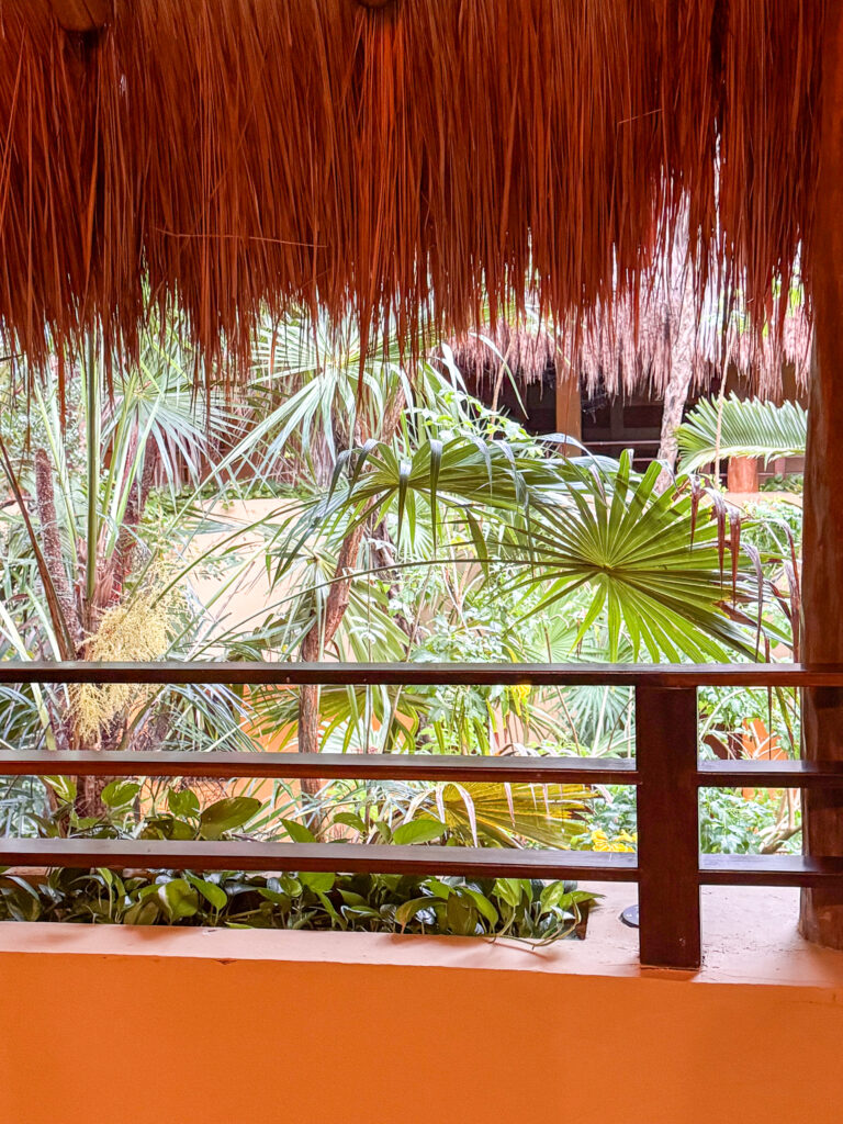 Looking out from under the palapa roof