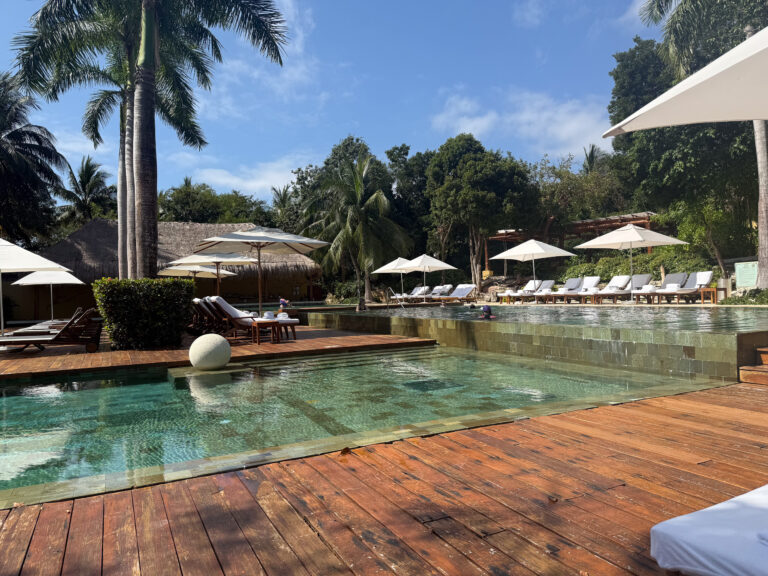 The pool deck and daybed among the palms