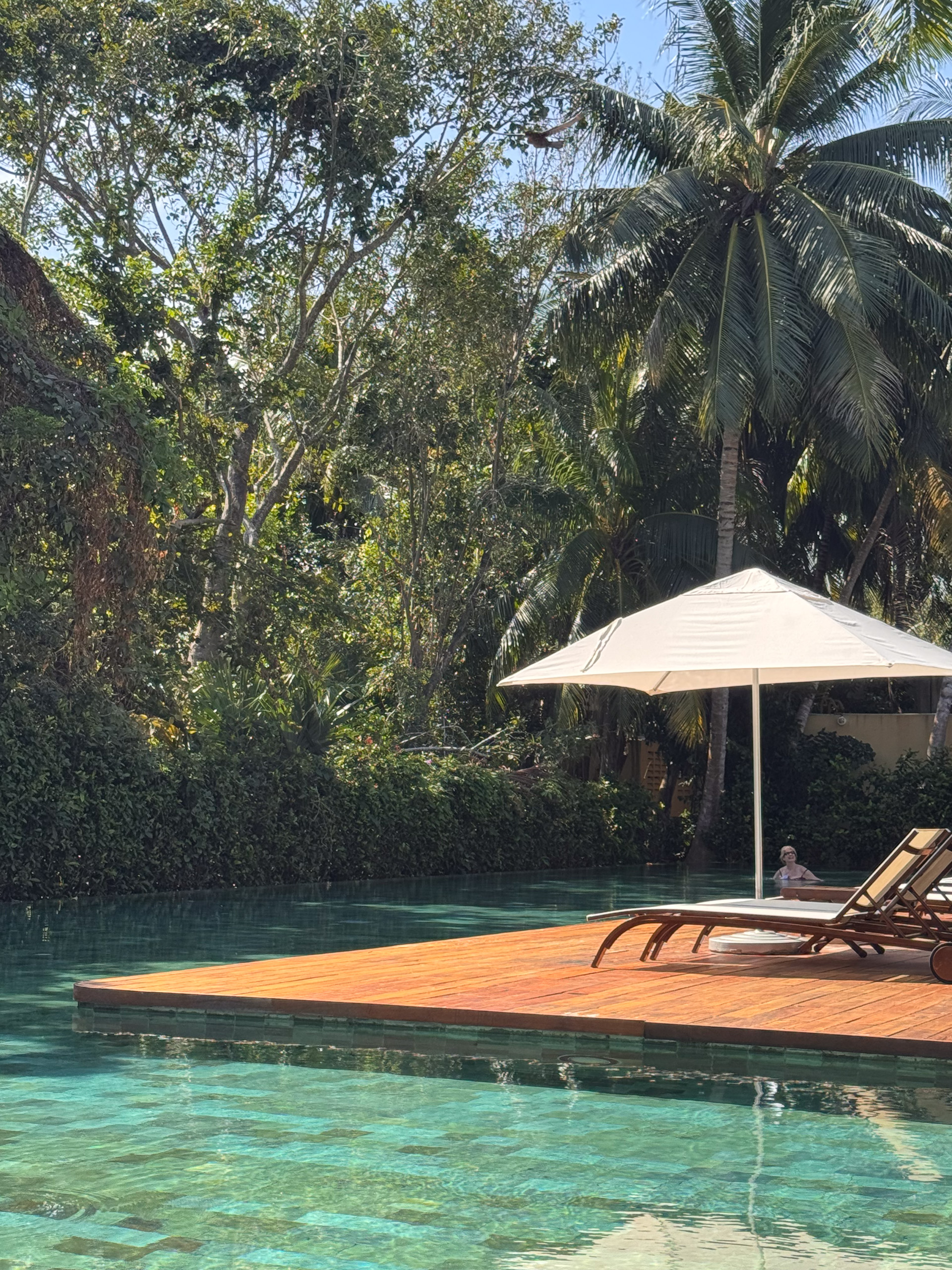 The pool set into the jungle