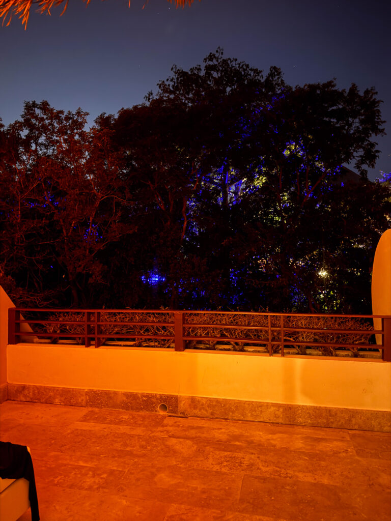 The terrace after dark