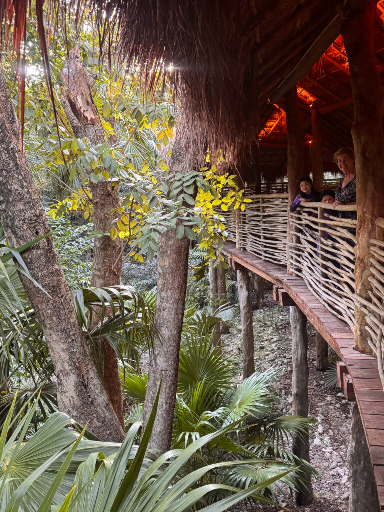 A structure among the planting, lit at night