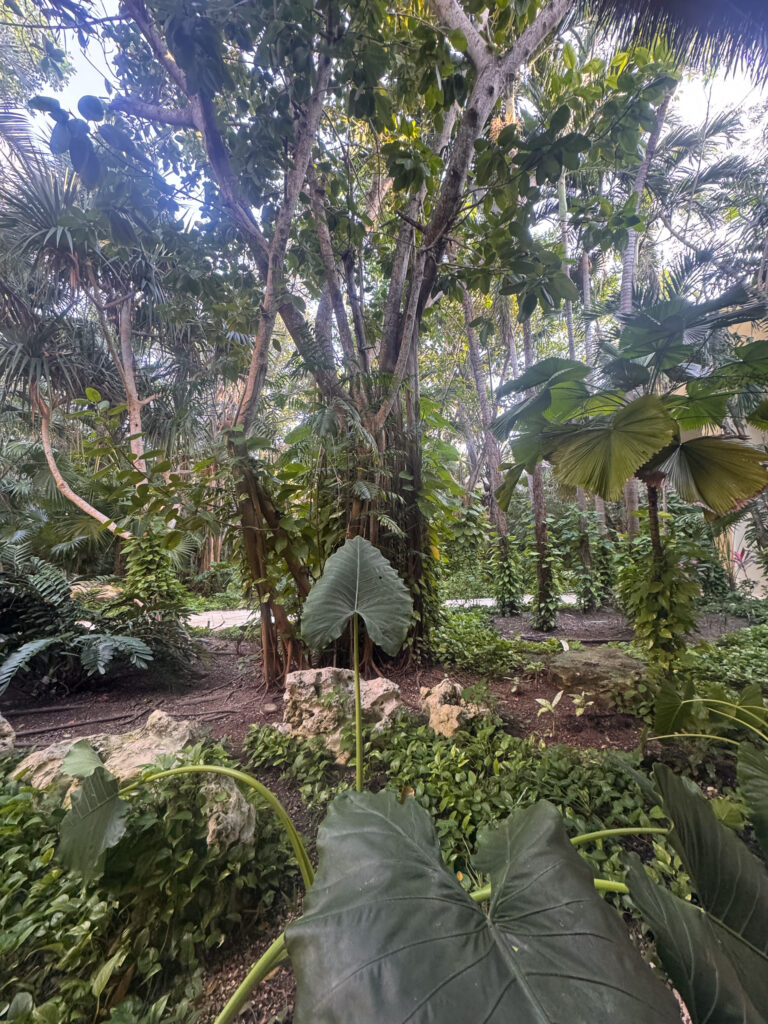 The gardens and palapas among the trees