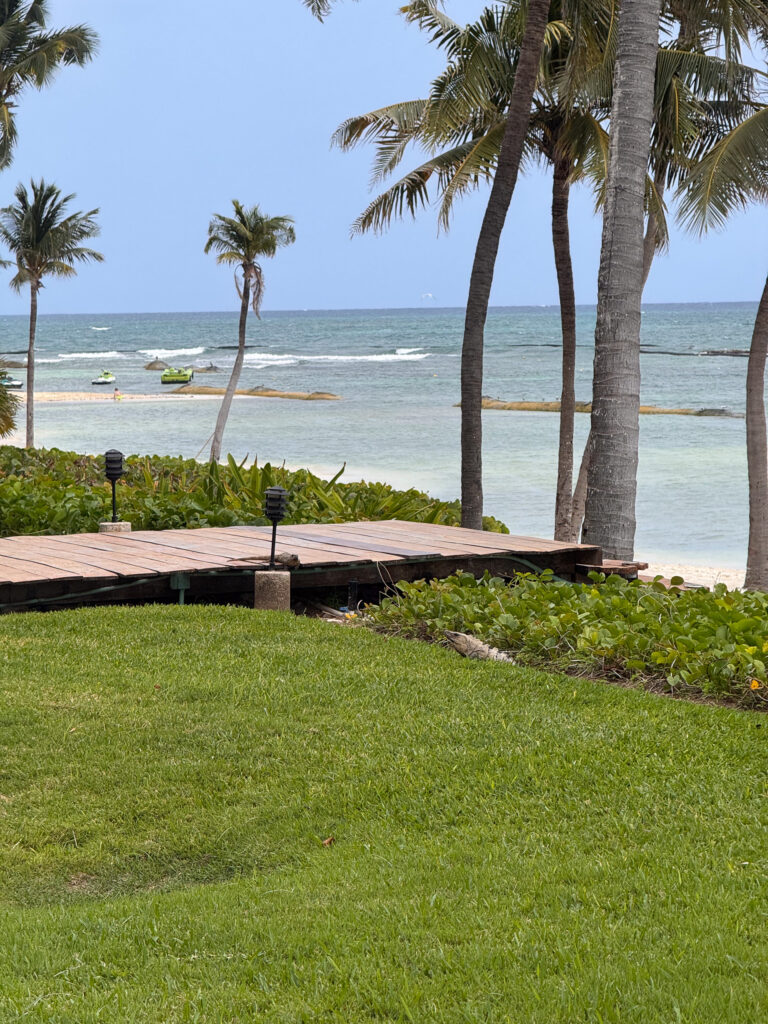 The boardwalk across the lawn to the water