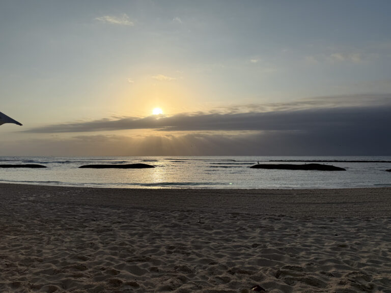 First light over the beach