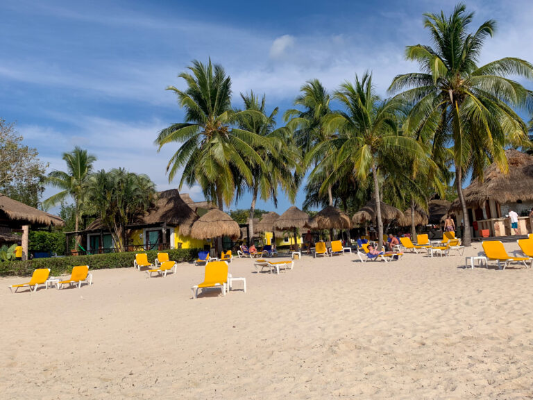 Yellow loungers set out in the shade along the sand