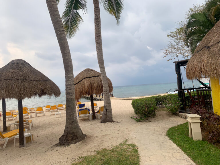 Palapas and palms on the beach under a heavy sky
