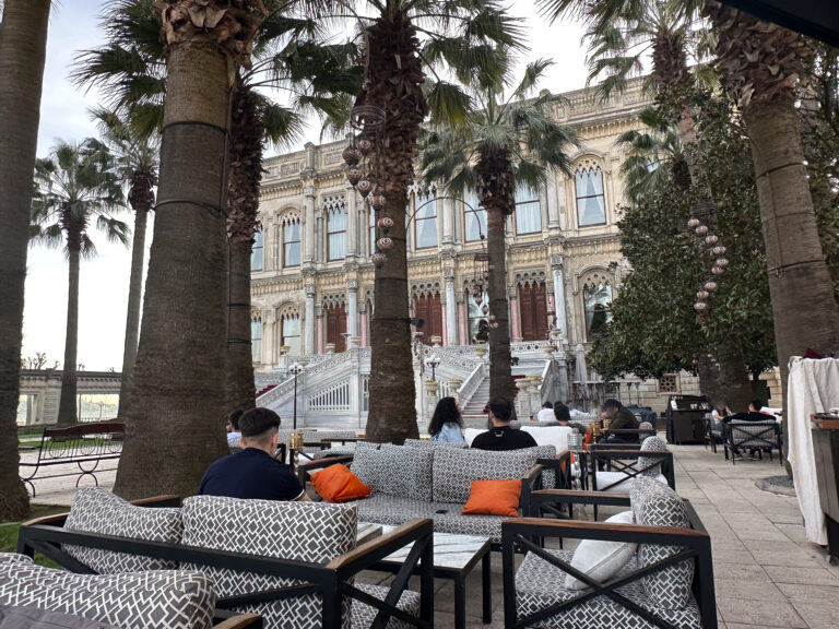 The ornate palace facade seen through palm trunks from the terrace cafe