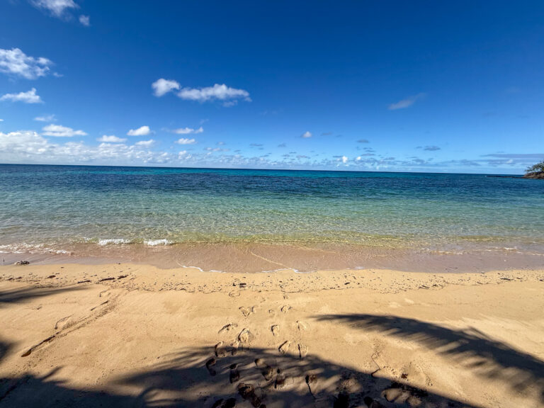 The reef showing at low tide