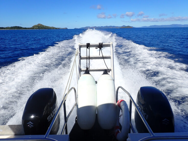 The wake behind the boat on the way out