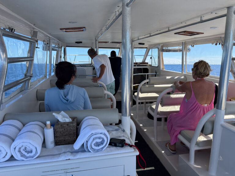On board on the way out to the dive site