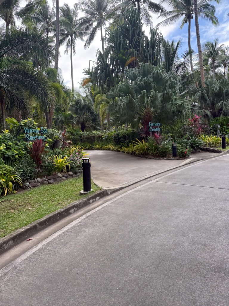The path through the gardens